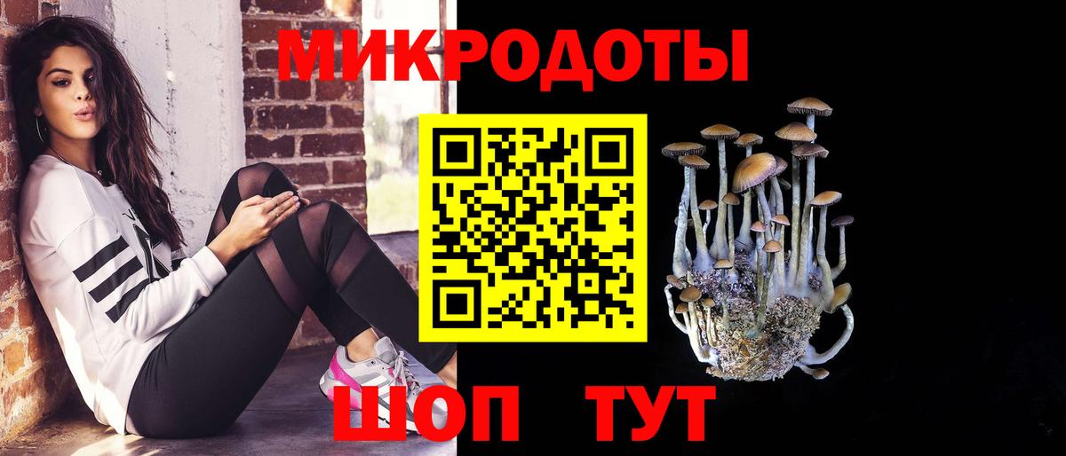 Чапаевск  Галлюциногенные грибы Psilocybe  Галлюциногенные грибы Psilocybe  Вход с VPN 