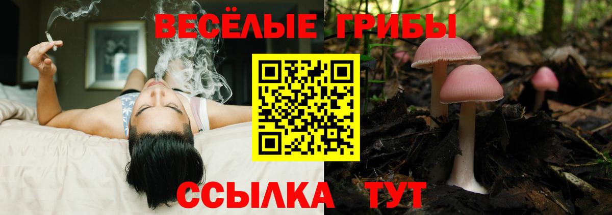 Галлюциногенные грибы Cubensis Чапаевск